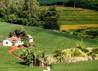 Propriedades rurais poderão receber pagamento por serviços ambientais