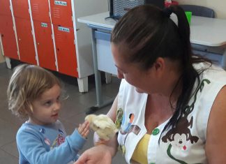 Escolas e CMEIs recebem projeto pedagógico de Proteção Animal