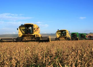 Paraná confirma produção de 23 milhões de toneladas de grãos