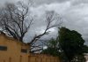 Temporal provoca estragos no Município e região