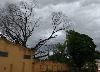 Temporal provoca estragos no Município e região