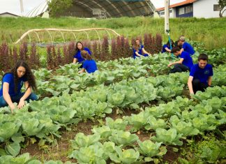 Matrículas para cursos do ‘Colégio Agrícola’ Fernando Costa seguem até dia 16