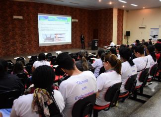 ‘Não há como erradicar o escorpião amarelo, apenas controlar’, alertam técnicas da Regional da Saúde