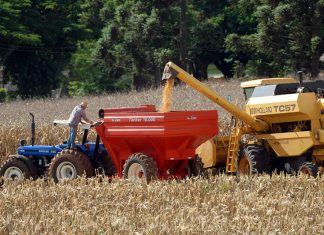 Safra de grãos poderá chegar a 23,3 milhões de toneladas no Paraná
