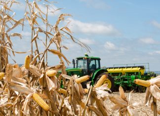 Sicredi disponibiliza R$ 8,2 bilhões em crédito rural nos primeiros quatro meses do Plano Safra 2018/19