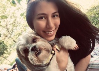 Pulgas e carrapatos – Como evitar ameaças a saúde de cães e gatos