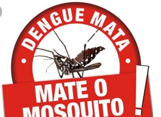 Saúde e Comitê da Dengue convidam para debate de ações de prevenção