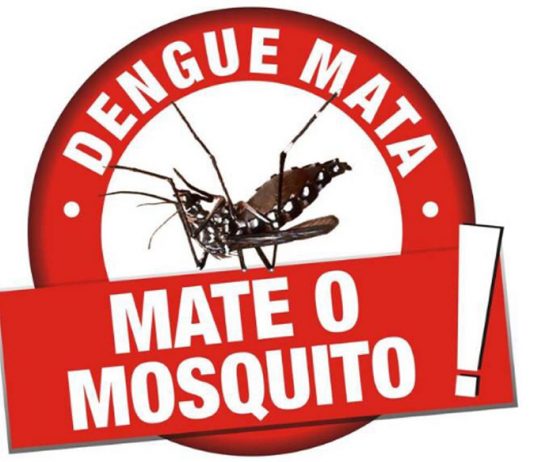 Saúde e Comitê da Dengue convidam para debate de ações de prevenção
