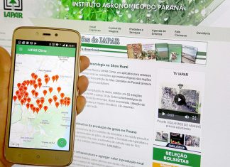 Iapar desenvolve ferramentas tecnológicas para ajudar agricultores