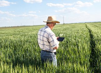 Produtores podem parcelar débitos de ICMS e multas