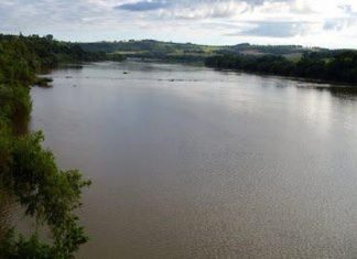 Rios Tibagi, Ivaí e das Cinzas vão receber peixes em ação no Dia Mundial da Água
