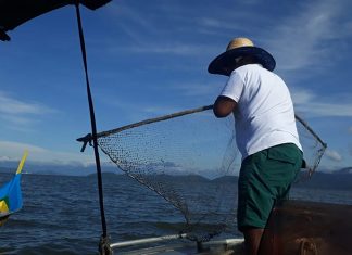 Pesca volta a ser permitida no Paraná