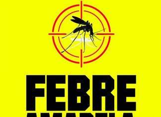 Saúde intensifica combate à febre amarela em todo Paraná