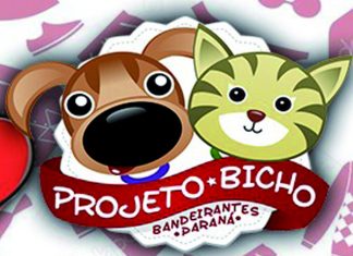 Projeto Bicho promove ‘Bazar Online’