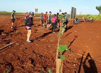 Em prol do meio ambiente