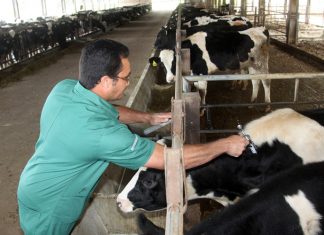 Produtores rurais e lideranças da região debatem “PR Livre de Febre Aftosa sem Vacinação”