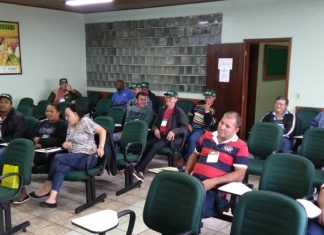Curso de capacitação para podadores de árvores