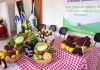 Município realiza I Conferência de Segurança Alimentar e Nutricional