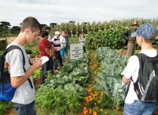 Matrículas abertas para cursos técnico em Agropecuária e Agronegócio