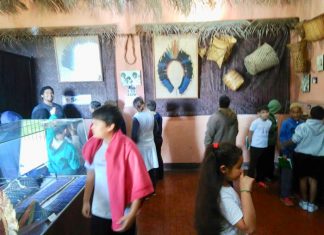 Alunos visitam Museu de História Natural de Cornélio