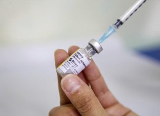 Hoje tem vacinação contra febre amarela