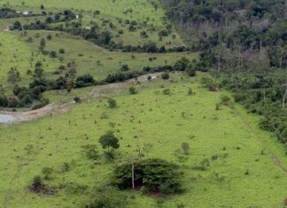 Começou prazo para entrega da declaração de propriedade rural