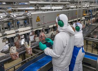 PIB cresce 1,05% no segundo trimestre, o dobro do Brasil