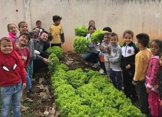 Projeto incentiva cultivo de ‘sabores e saberes’