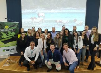 Colaboradores de agências do Sicoob Ouro Verde aprendem a identificar fraudes e falsificações em treinamento de grafoscopia