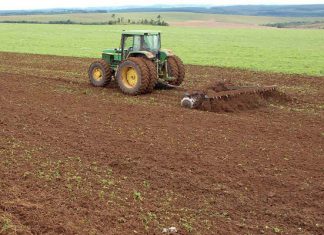 Paraná prorroga prazo para o plantio da soja
