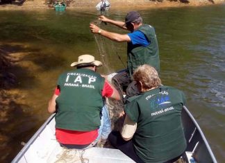 Pesca de espécies nativas fica proibida até março de 2020