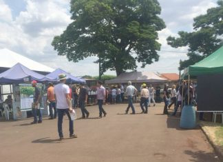 NEAT promove Dia de Campo Orgânico