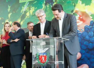 Programa inédito vai revitalizar a produção de uvas no Paraná