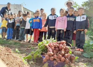 Projeto Horta ‘colhe’ resultados saudáveis em alimentos e nas crianças