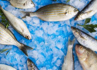 No verão, é importante ter cuidados com a conservação de alimentos