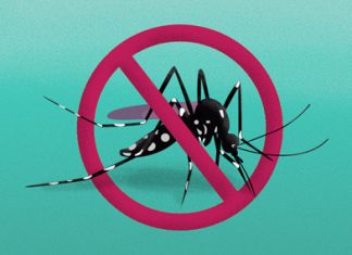 Boletim registra 6.068 casos confirmados de Dengue no PR