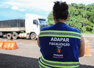 Estado vai contratar veterinários e técnicos agropecuários