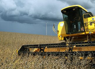 Estado deve produzir 24,1 milhões de toneladas de grãos