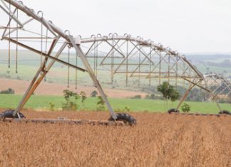 IBGE prevê safra recorde de grãos, com alta de 2,2%