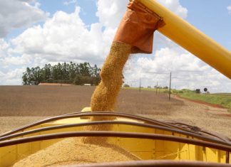 Paraná deve produzir 23,4 milhões de toneladas de grãos