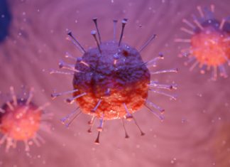 Paraná tem cinco casos de coronavírus descartados e 18 novos suspeitos