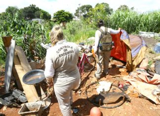 SESA revisa números de dengue no Paraná