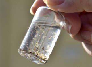 Sábado, dia 21, tem novamente arrastão contra a Dengue