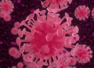 Coronavirus já circula em Bandeirantes; confirmado primeiro caso no Município