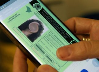 Condutores já podem imprimir em casa documento veicular