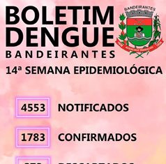 Vigilância em Saúde faz atualização semanal de dados da Dengue no Município