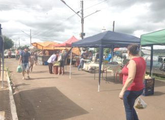 Produtores da Feira Livre devem fazer cadastro na Secretaria da Agricultura