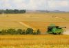 Safra de grãos do Paraná deve atingir 41 milhões de toneladas
