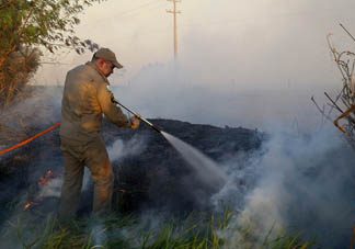 Incêndios ambientais crescem 33% no Paraná no 1º trimestre
