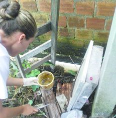 Quase 10% da população de Bandeirantes já confirmou para Dengue